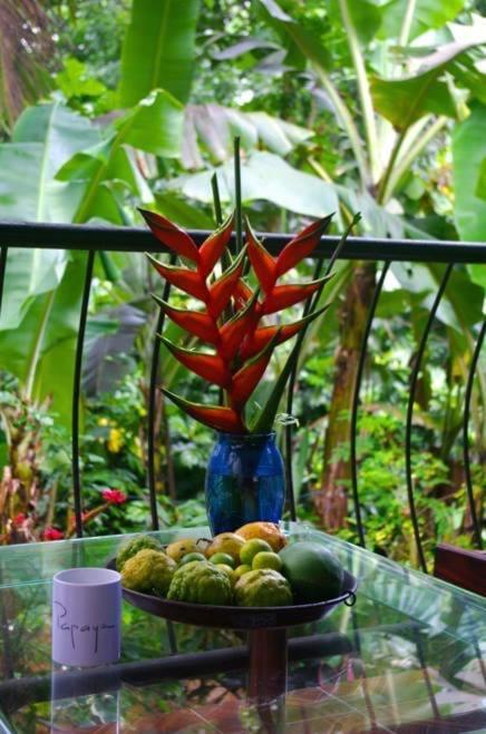 Papayas Self Catering Room Виктория Екстериор снимка